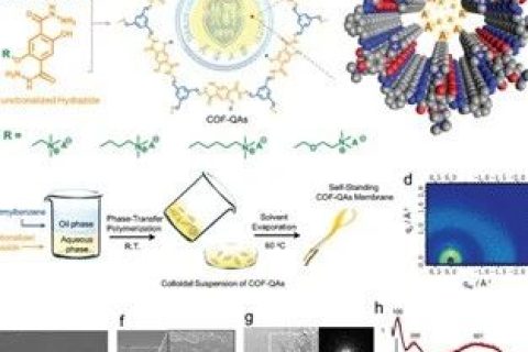 具有最高氫氧化物電導(dǎo)率的COFs膜，實現(xiàn)超快陰離子傳輸