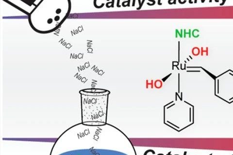 《JACS》：“開環(huán)易位聚合”像炒菜，加點(diǎn)鹽可控性更好！