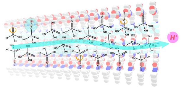 南京理工大學(xué)張根《JACS》：在質(zhì)子交換隔膜材料方面取得最新研究進(jìn)展