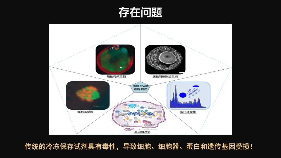 王健君：實證百年科學(xué)猜想，人體凍存未來可期