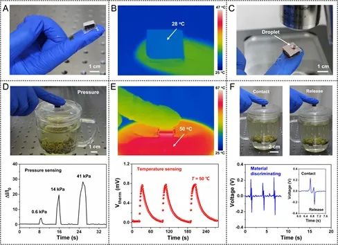 《Science Advances》：柔性多功能觸覺傳感器