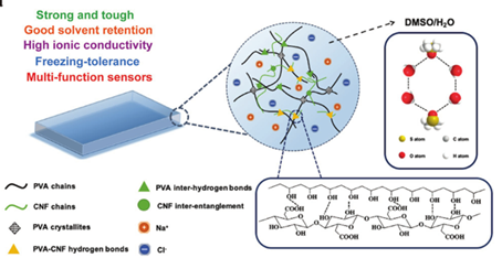 《AFM》：纖維素納米纖維增強(qiáng)離子導(dǎo)電水凝膠：制備簡單，應(yīng)用前景廣泛