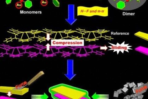 控制AIEgen晶體的分子運動，實現(xiàn)力致發(fā)光