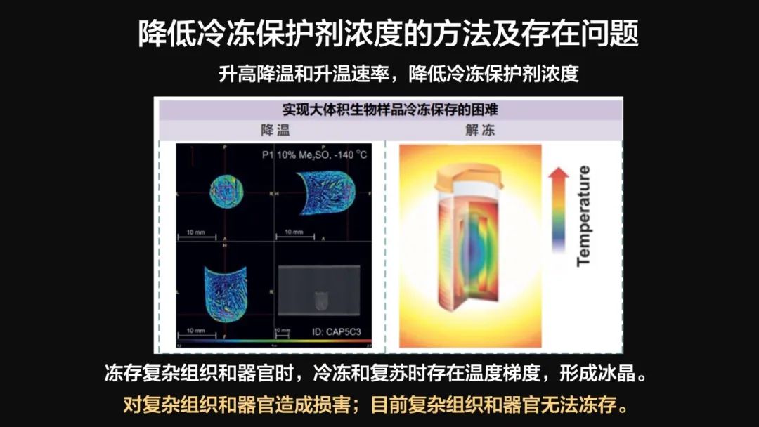 王健君：實證百年科學(xué)猜想，人體凍存未來可期