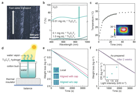 ?清華大學(xué)李春《ACS Nano》：純MXene水凝膠基質(zhì)