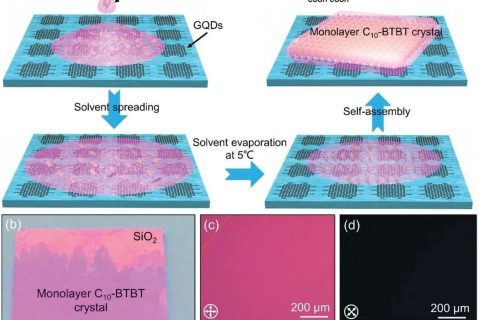 蘇州大學揭建勝教授團隊Adv. Mater.：石墨烯量子點誘導厘米級單層有機晶體液面生長