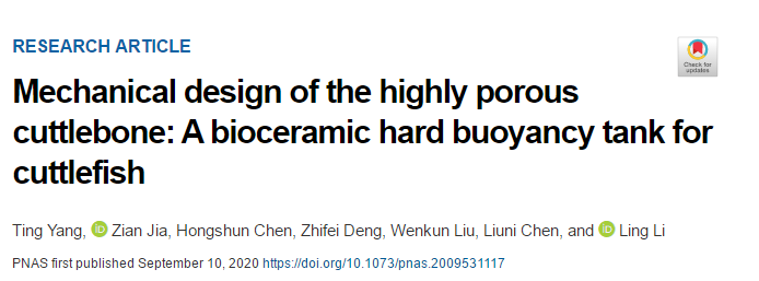 吃墨魚發(fā)了一篇頂刊《PNAS》！墨魚骨的秘密被揭開！