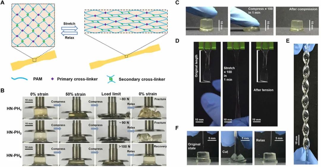 《Science》子刊：高強(qiáng)度、高韌性、可快速回復(fù)的水凝膠?