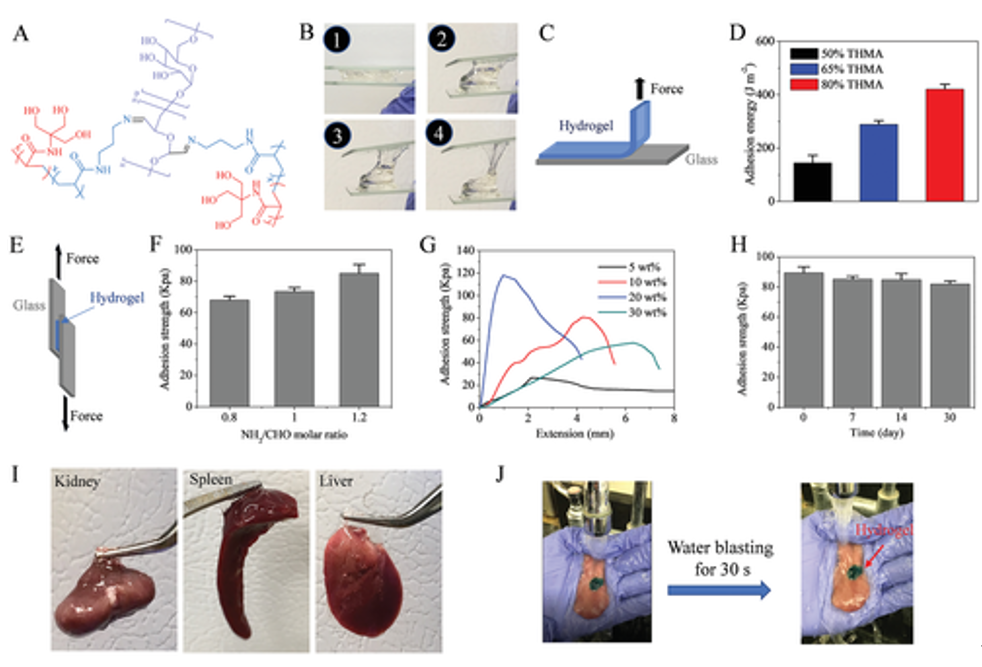 沒有化學(xué)反應(yīng)也能粘合！《AM》：具有“分擔(dān)負(fù)荷”作用的粘性水凝膠，可作為組織繃帶用于藥物和細(xì)胞的輸送。