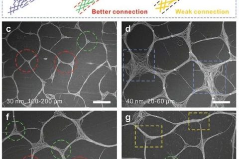 南洋理工李佩詩團隊《AFM》：噴涂組裝策略制備高性能銀納米線透明導電網(wǎng)絡