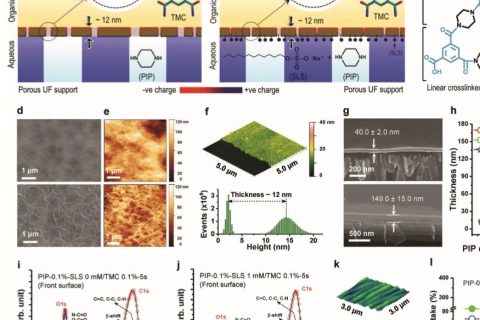 ?當前最高的離子截留率99.99%！《AFM》：超選擇性和高滲透性聚酰胺納米膜！