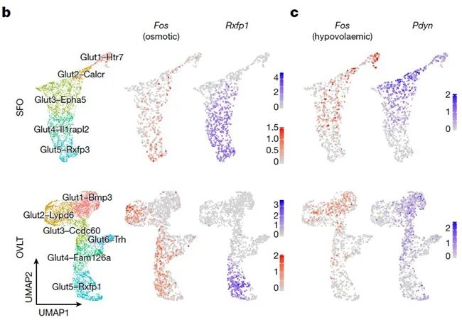 向優(yōu)秀看齊，南開大學(xué)本科生發(fā)《Nature》！