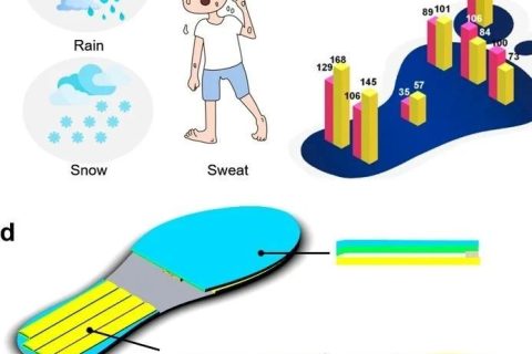 這只“鞋墊”不簡(jiǎn)單，登上《ACS Nano》！三校聯(lián)合開(kāi)發(fā)出不怕潮濕、可發(fā)電的智能鞋墊