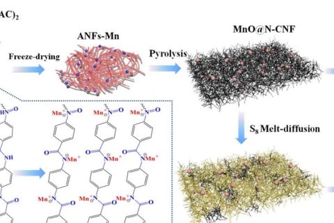 上海電力大學(xué)《JMCA》:如何簡單有效地原位復(fù)合碳纖維和金屬納米顆粒？一種可用于超級電容器和鋰硫宿主的雙功能材料