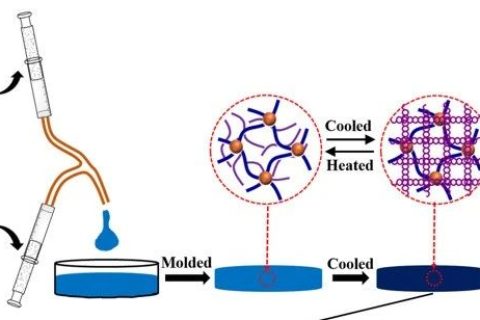 自抗菌、自粘附、可修復、可注射、耐酸耐堿的DN水凝膠粘附敷料