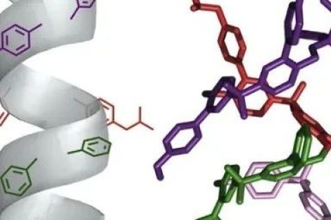 英國曼徹斯特大學(xué)Leigh院士《Chem》：分子機(jī)器精準(zhǔn)“生產(chǎn)”單序列低聚物