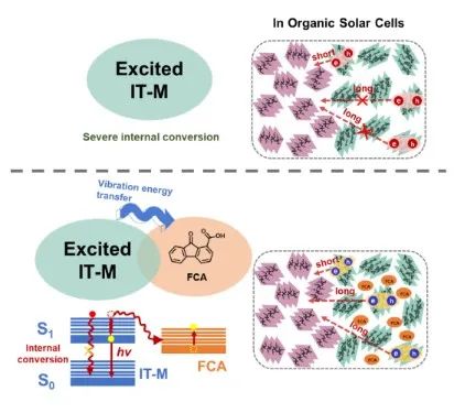 北京師范大學(xué)薄志山等《AM》：提高有機(jī)光伏電池性能的新途徑——延長(zhǎng)激子壽命、增加激子擴(kuò)散距離