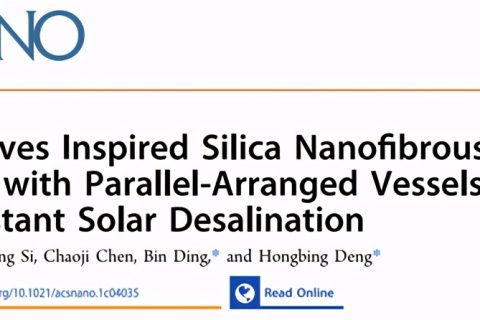 二氧化硅納米纖維氣凝膠用于耐鹽太陽能海水淡化