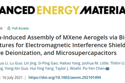 金屬離子誘導(dǎo)MXene氣凝膠，用于電磁干擾屏蔽和微型超級電容器