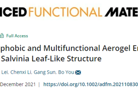 復(fù)旦大學(xué)游波教授《AFM》：仿生丹參葉狀結(jié)構(gòu)的超疏水多功能氣凝膠！