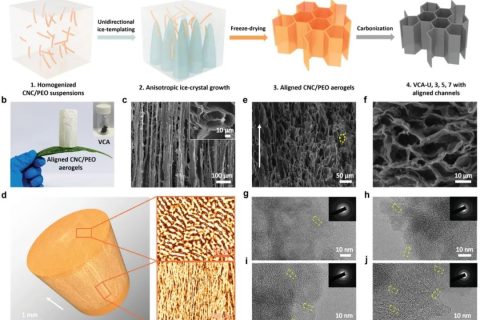 首次通過控制冰模板法冷卻速率實現(xiàn)高性能碳氣凝膠負極！