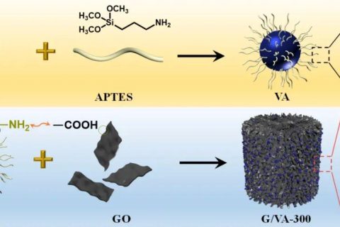 南開大學黃毅教授《AFM》：智能開關可切換吸波材料